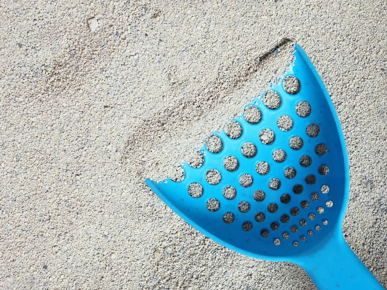 how often should you change cat litter