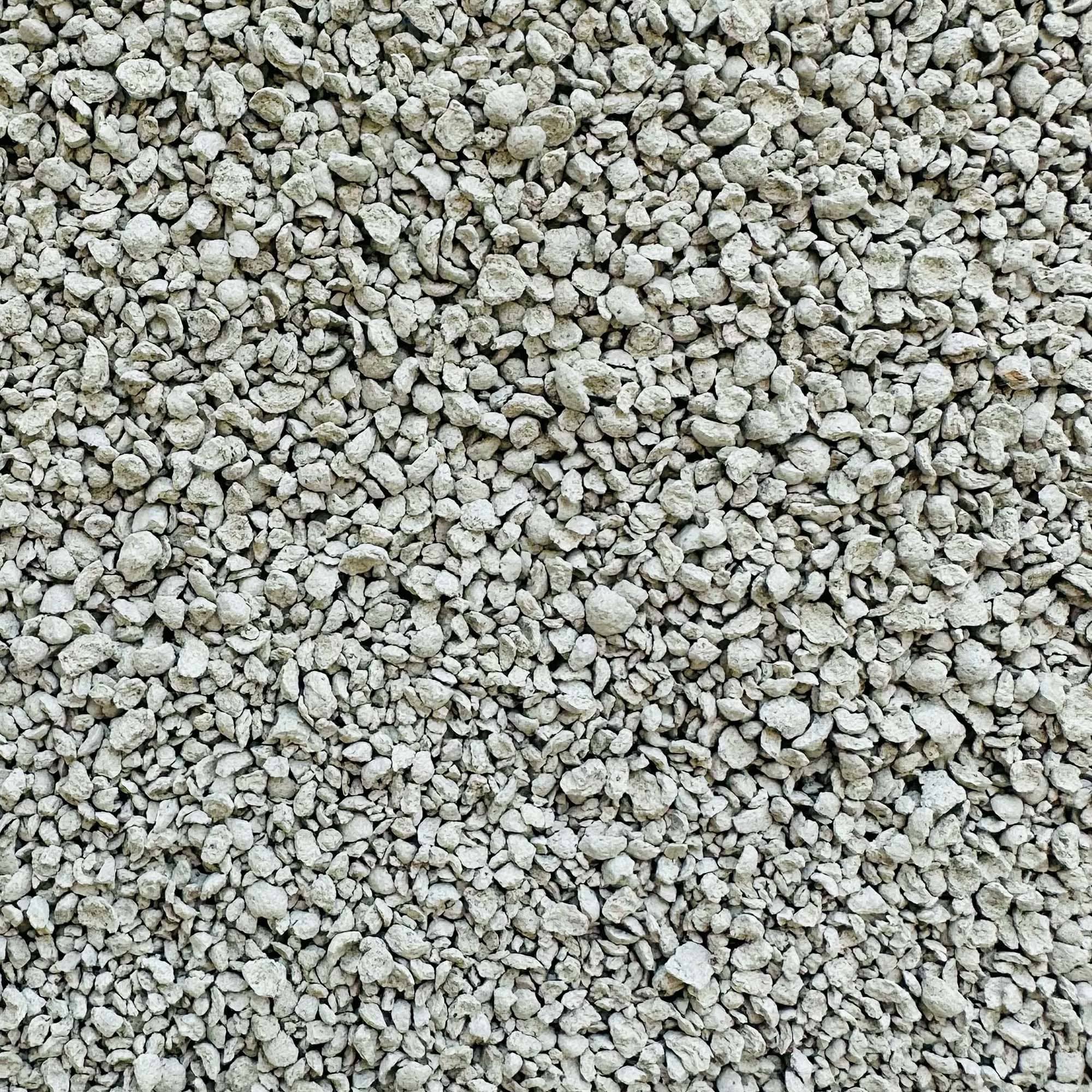 best cat litter that controls odor